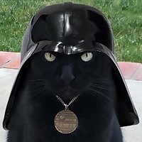 Darth Kitty