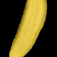 PickleSpear