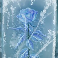 Frozen_Rose