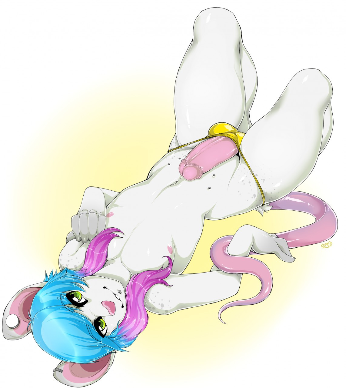 Next Image >>