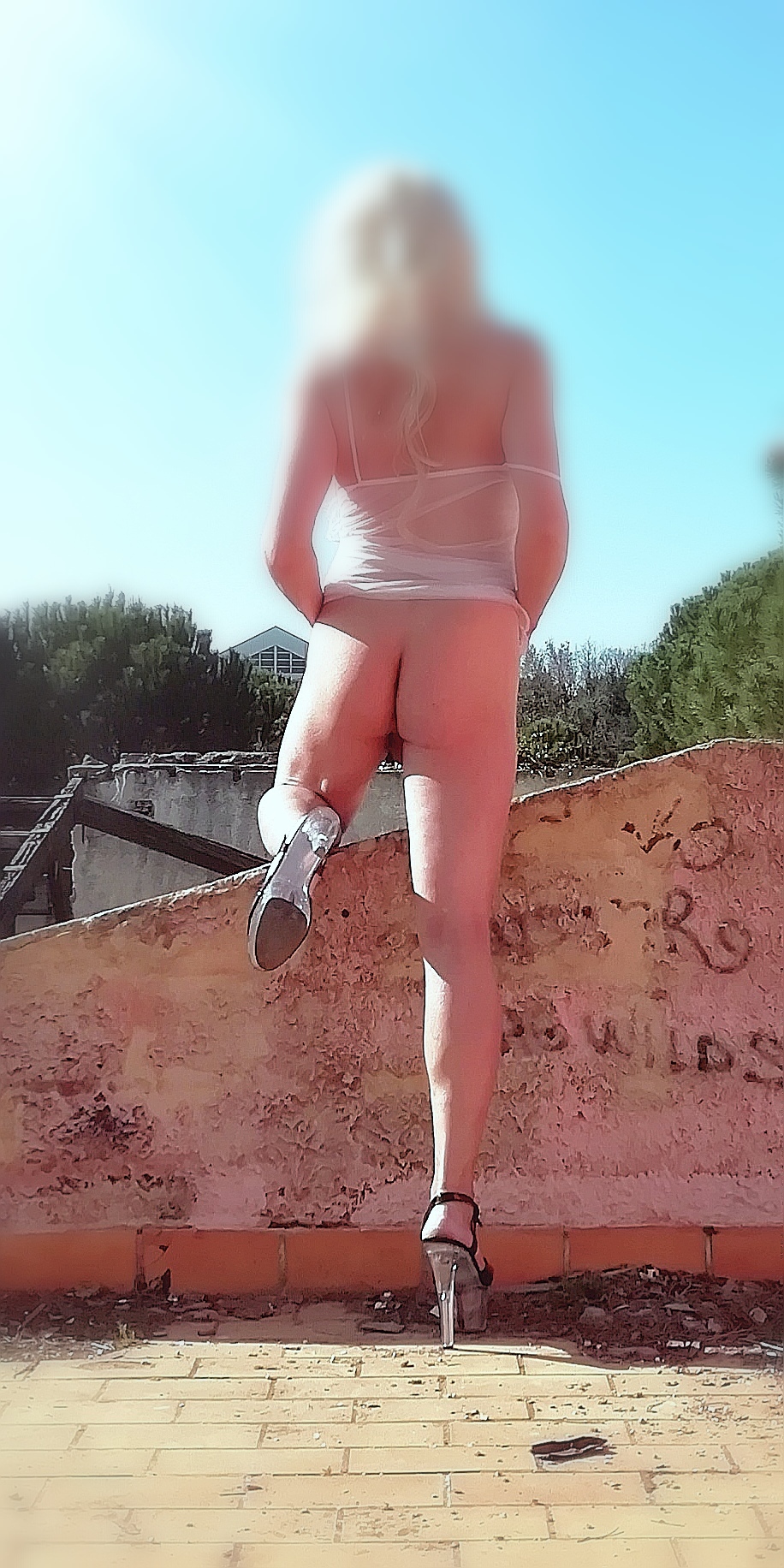 Next Image >>
