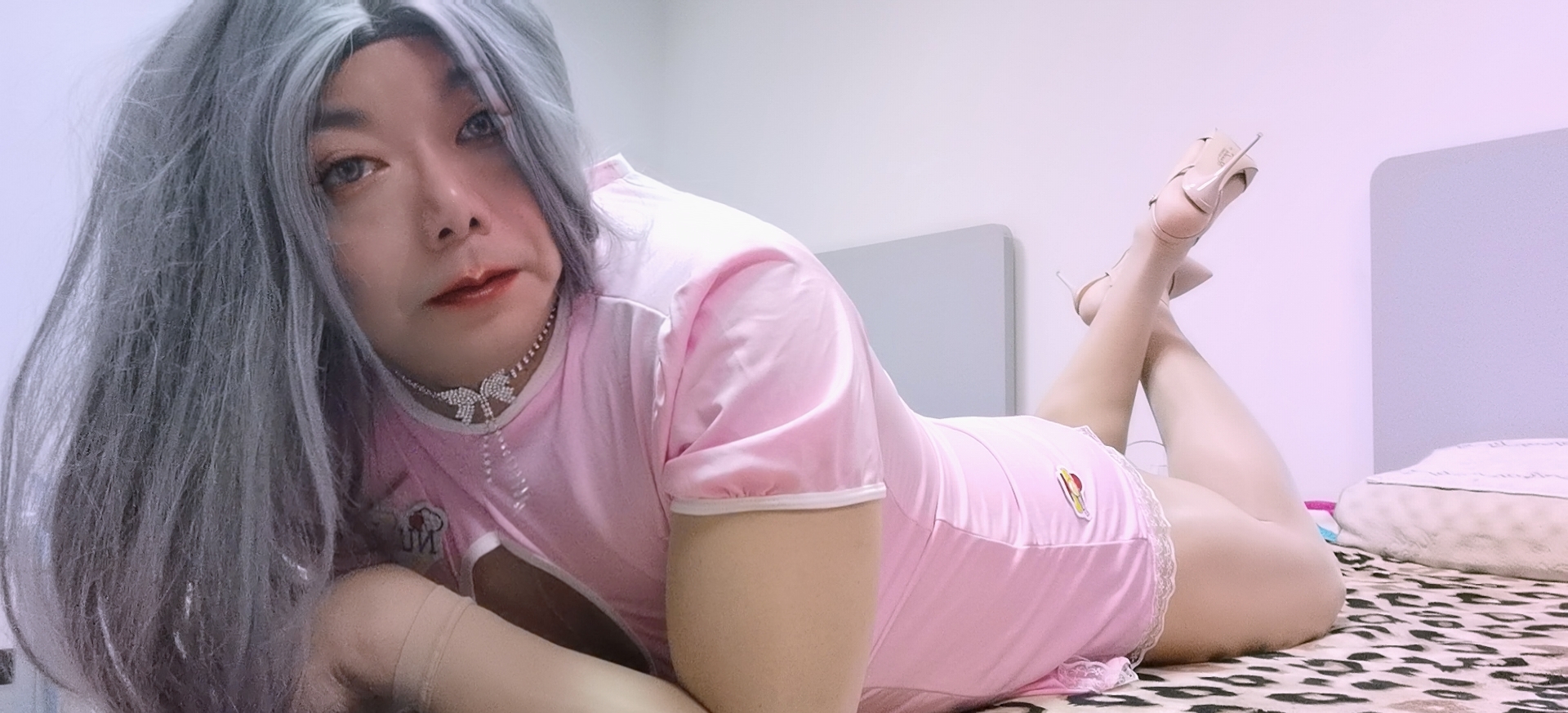 Следующий Изображение >>