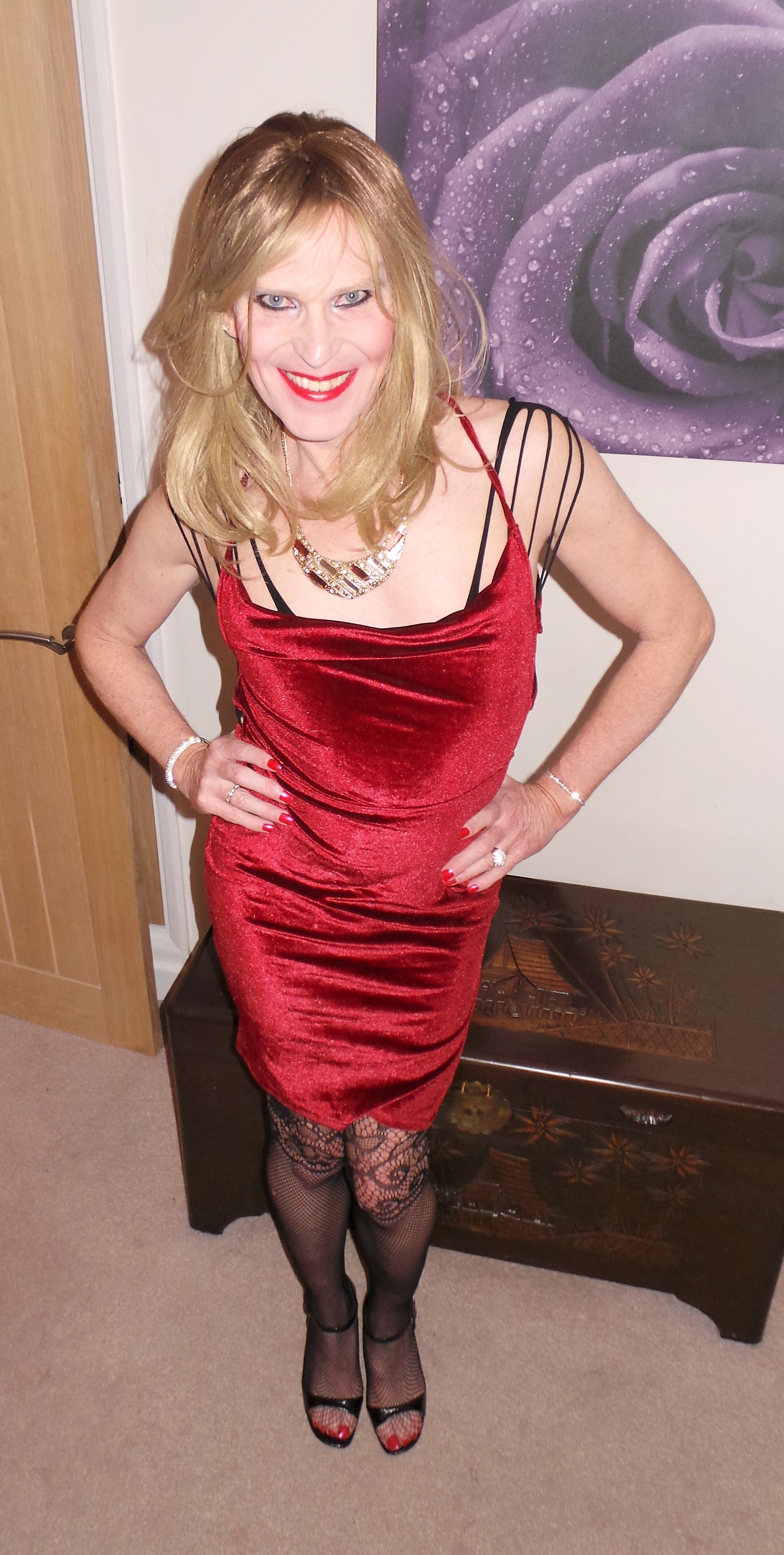 Velvet Red Dress Photo 38