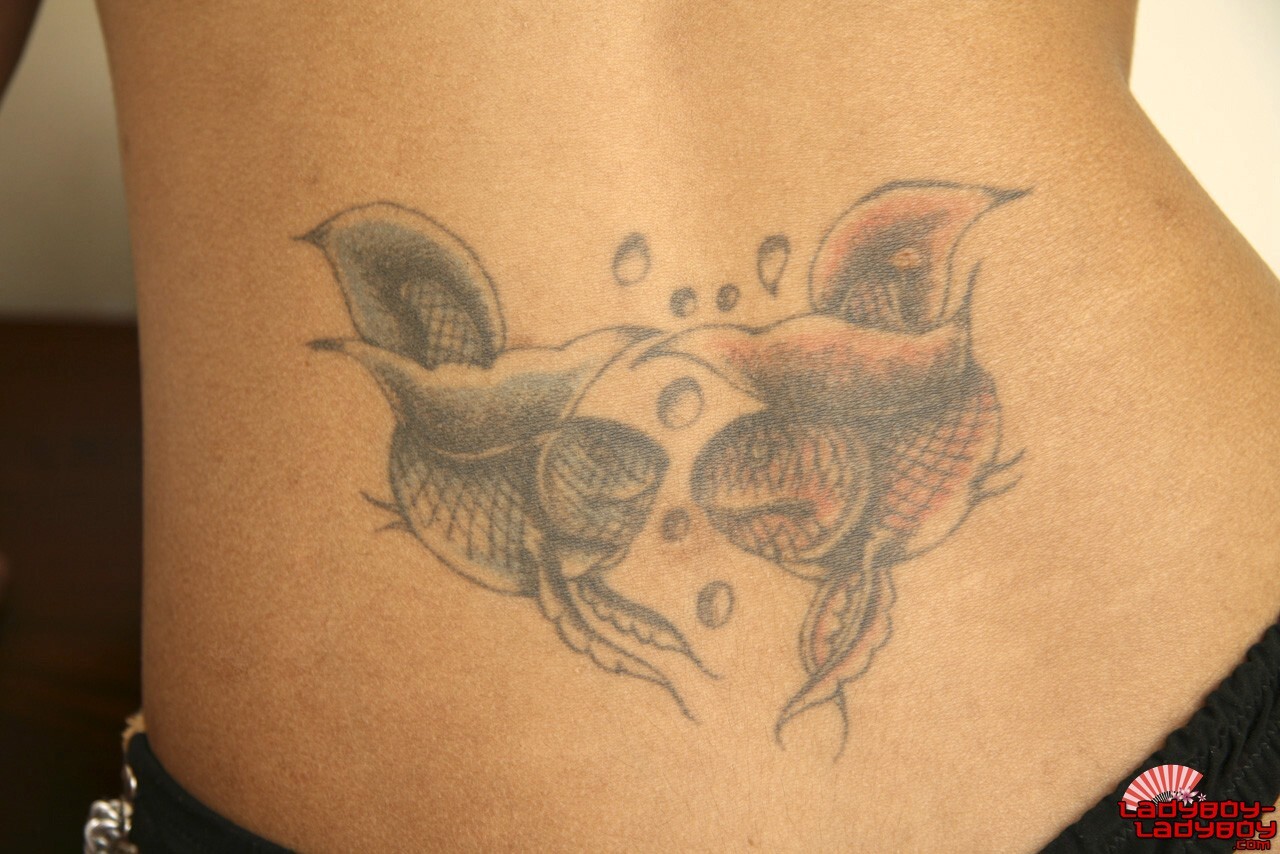 Next Image >>