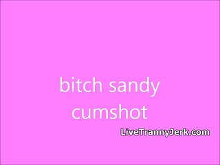 Dirty CD Slut Sandy Cumming