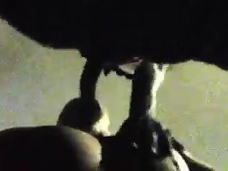 Sucking an XL black tranny cock