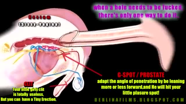 Sissy Anatomy